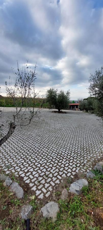 Merumalia Wine Resort Frascati Exterior foto