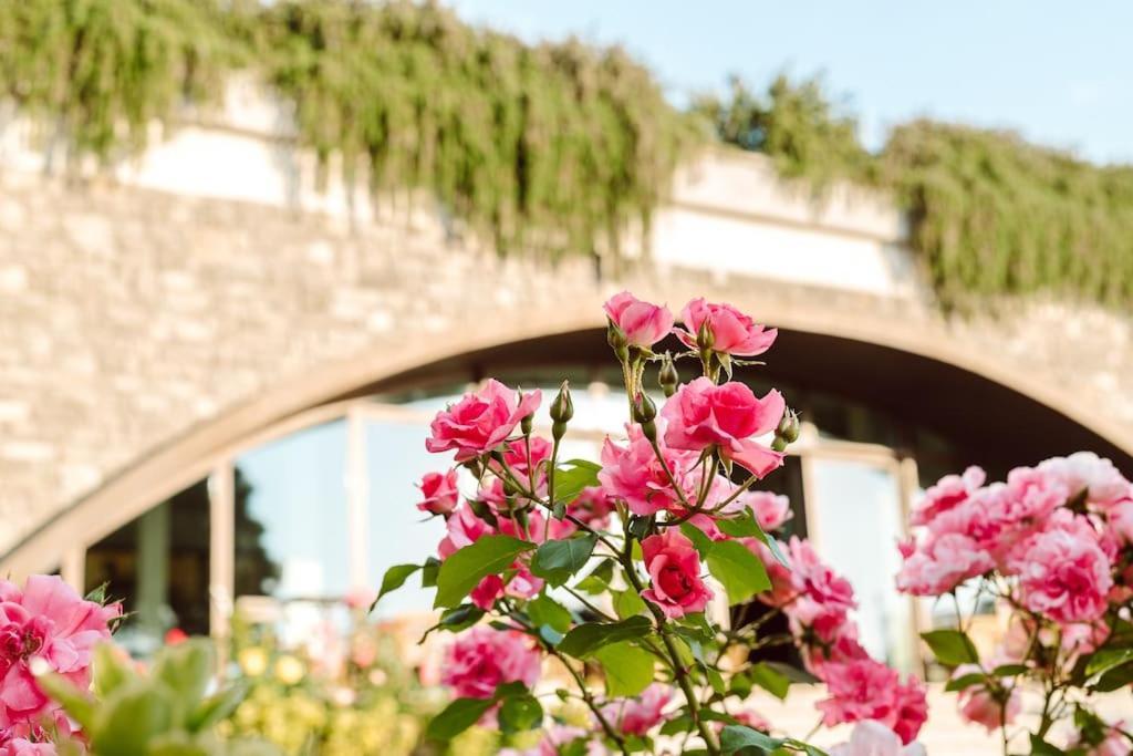 Merumalia Wine Resort Frascati Exterior foto