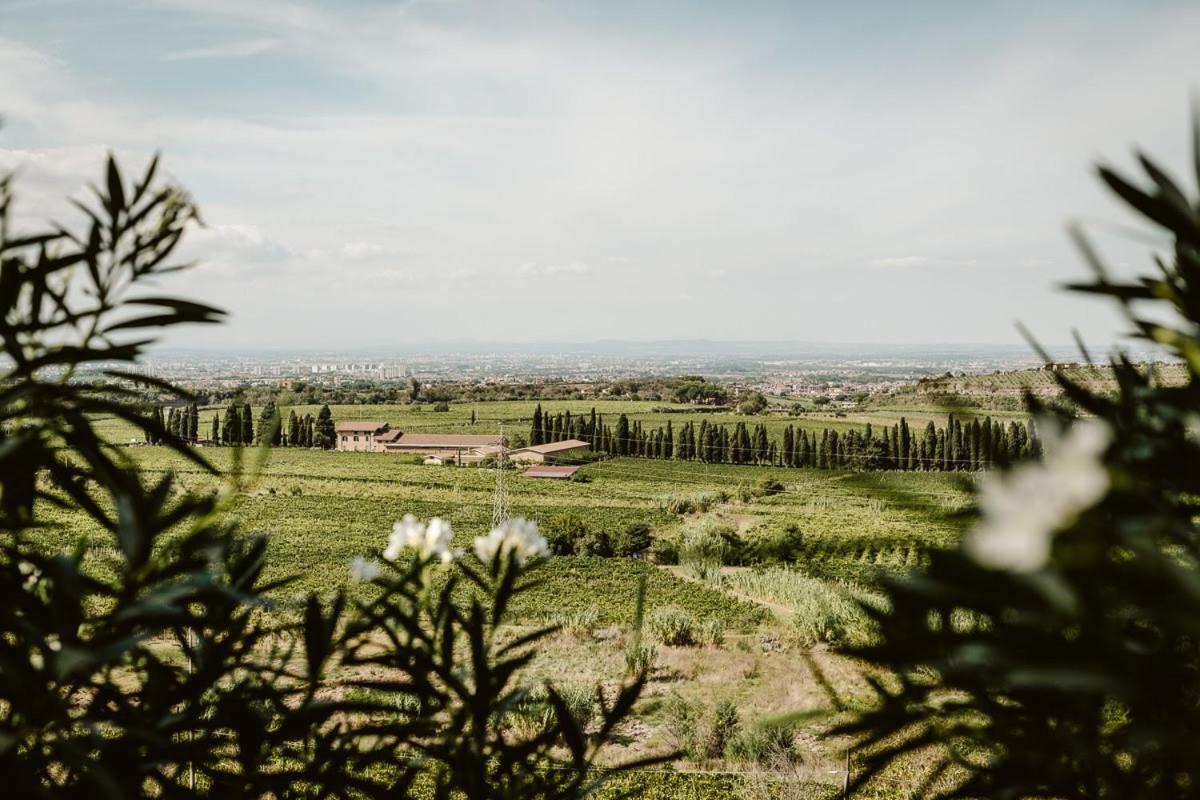 Merumalia Wine Resort Frascati Exterior foto